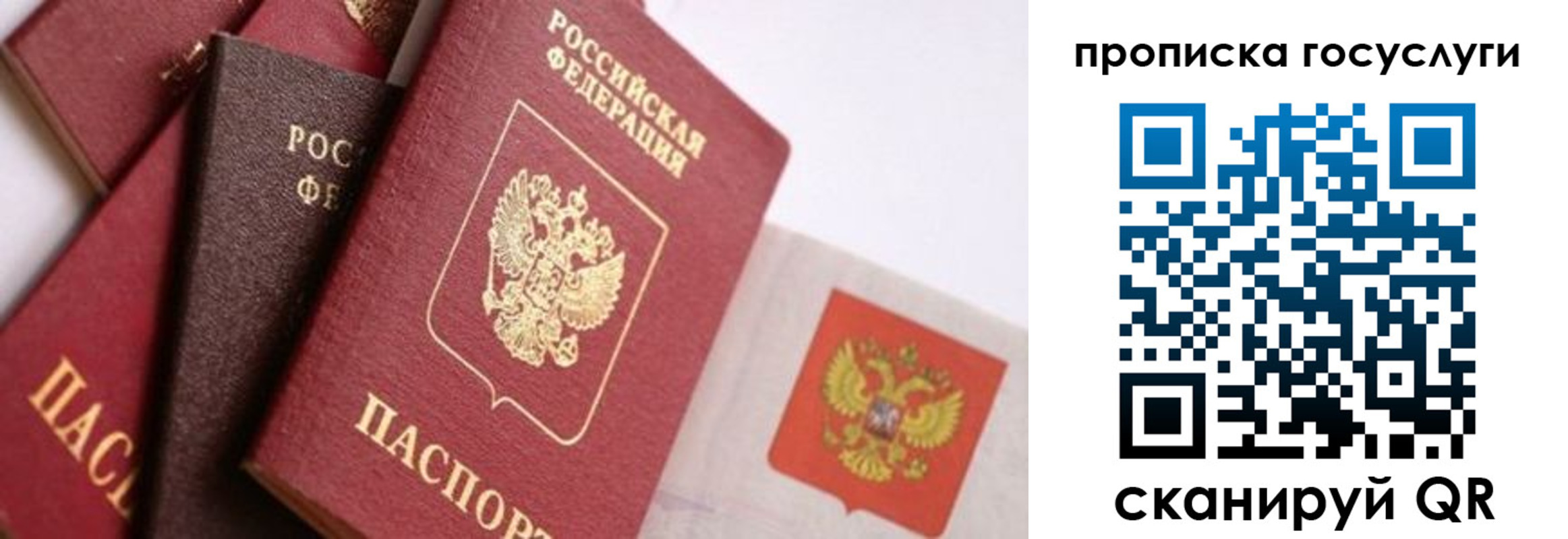 прописка законно в Богучаре